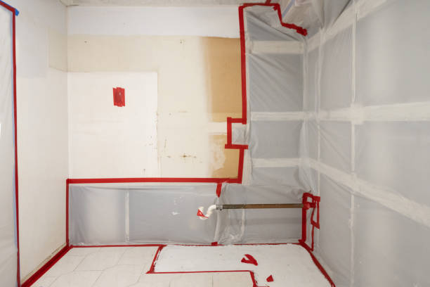Best Water Damage & Mold Remediation  in Williamsville, NY